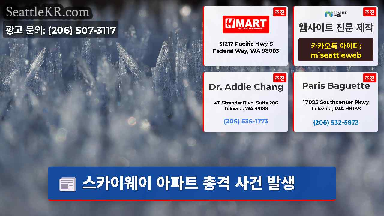 시애틀 뉴스 SeattleKR