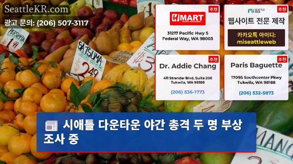 시애틀 다운타운 야간 총격 두 명 부상 조사 중