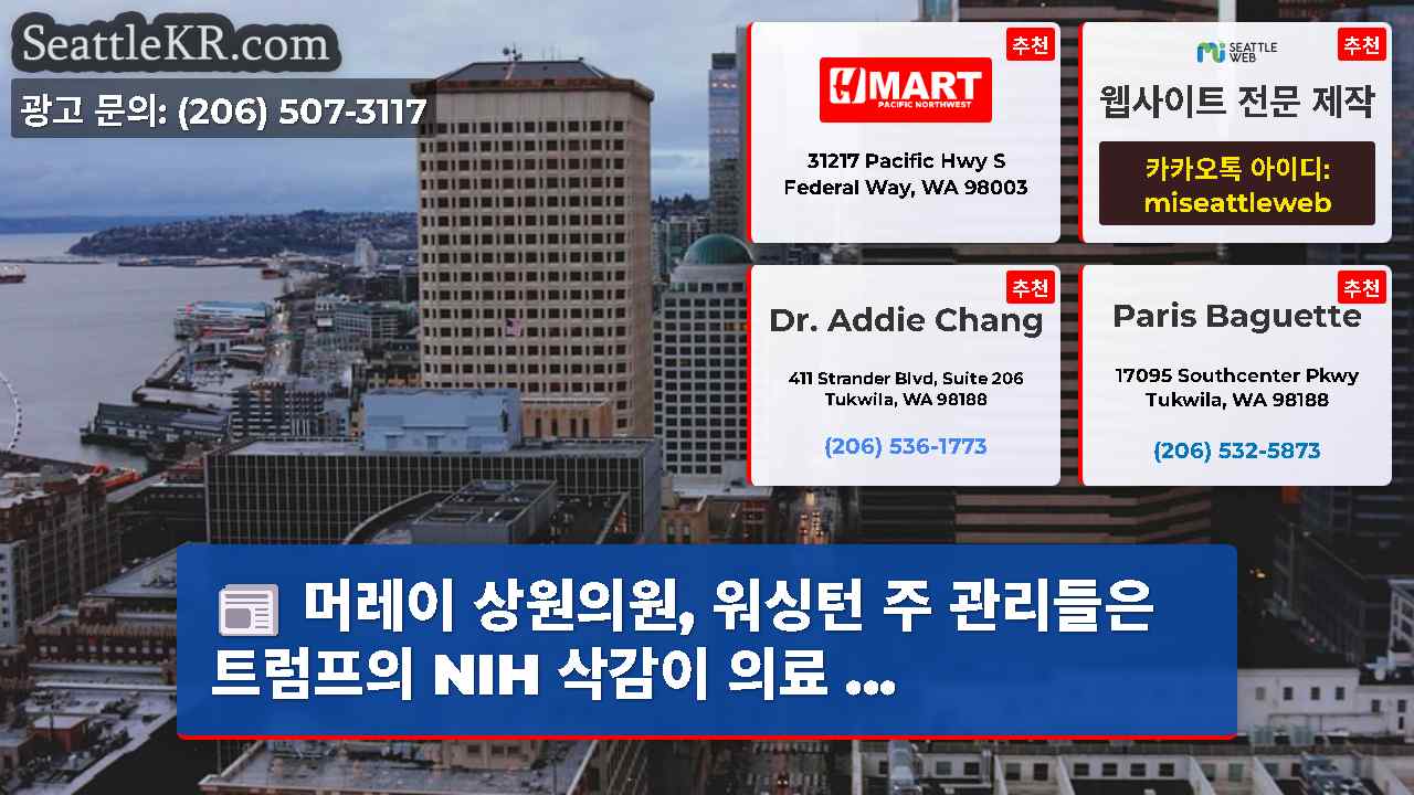 시애틀 뉴스 SeattleKR