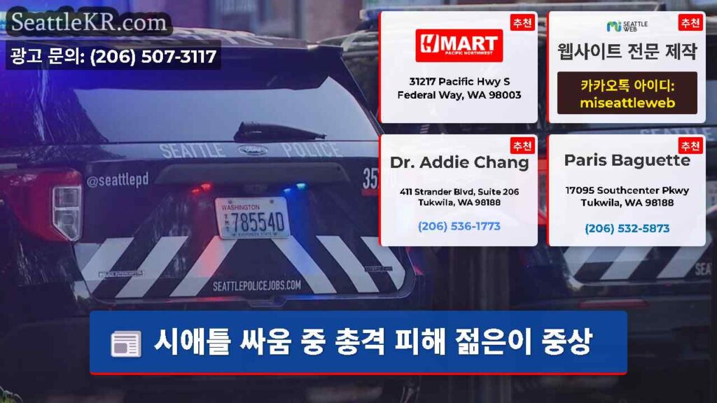 시애틀 싸움 중 총격 피해 젊은이 중상