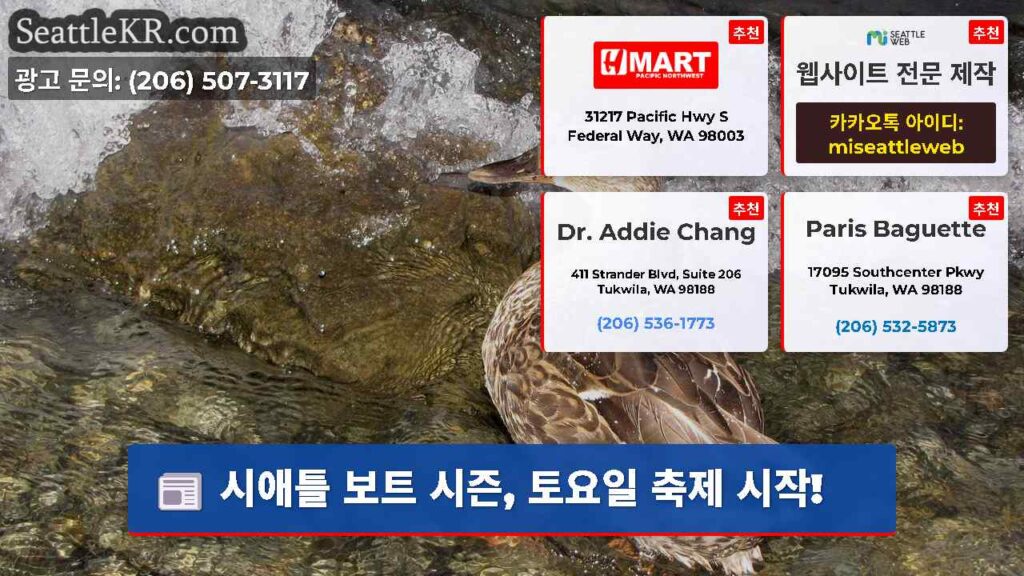 시애틀 보트 시즌, 토요일 축제 시작!