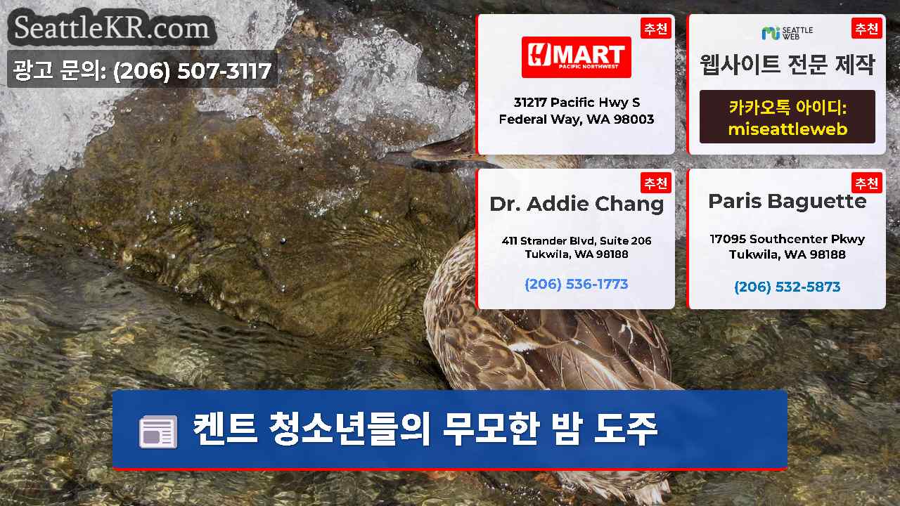 시애틀 뉴스 SeattleKR