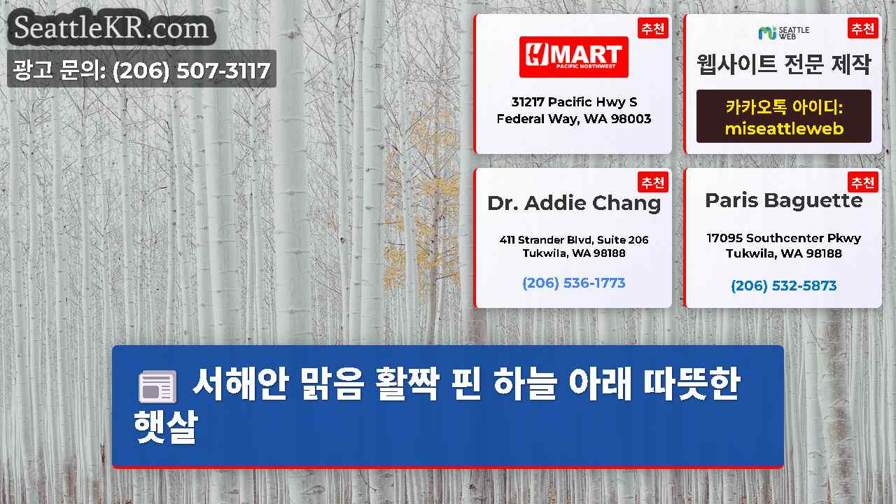 시애틀 뉴스 SeattleKR