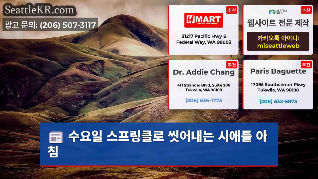 수요일 스프링클로 씻어내는 시애틀 아침