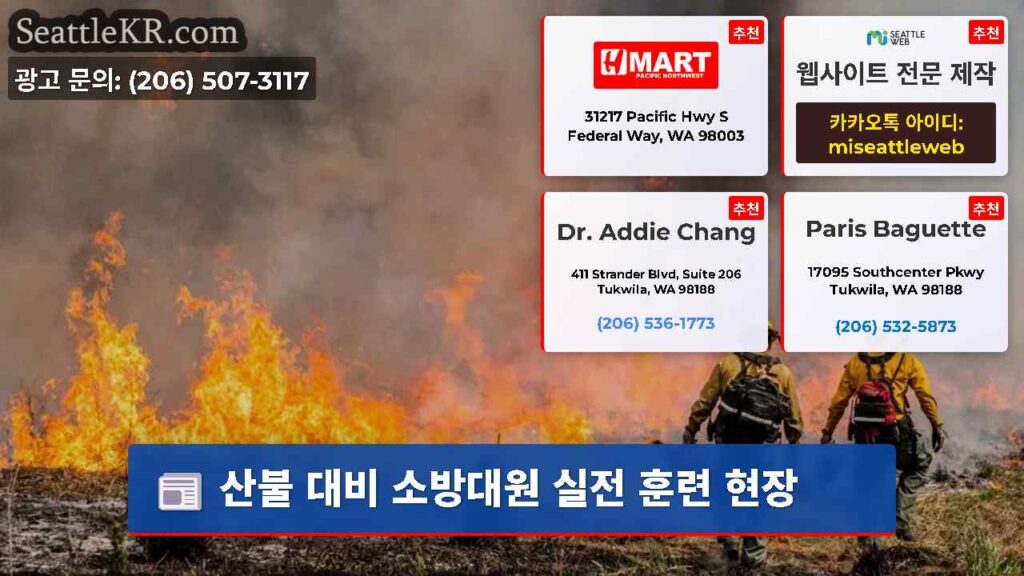 산불 대비 소방대원 실전 훈련 현장