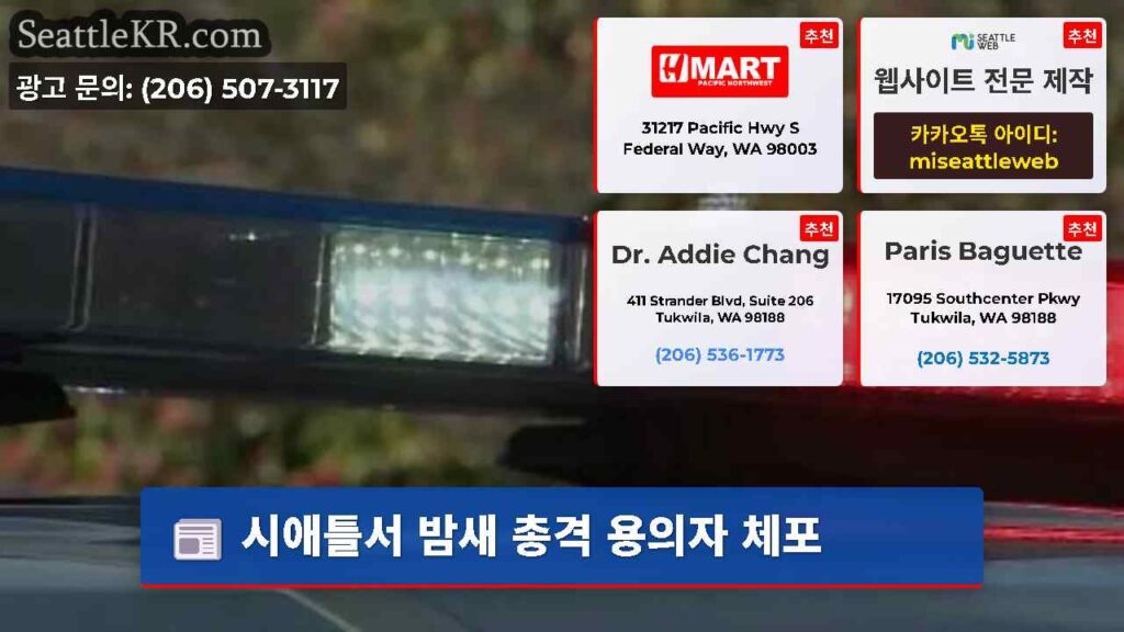 시애틀서 밤새 총격 용의자 체포