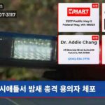 시애틀서 밤새 총격 용의자 체포
