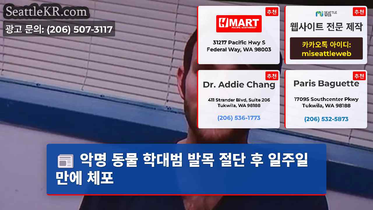 시애틀 뉴스 SeattleKR