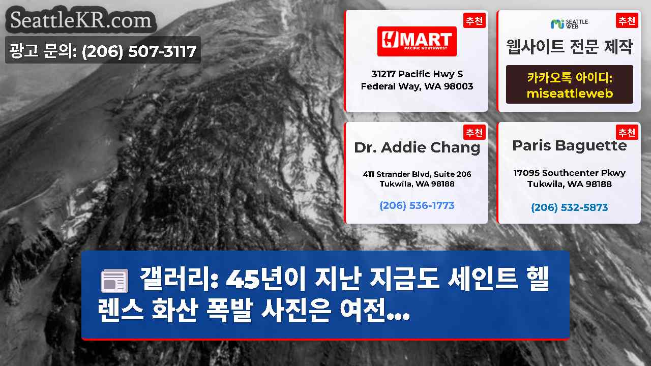 시애틀 뉴스 SeattleKR
