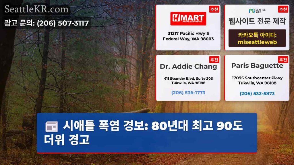 시애틀 폭염 경보: 80년대 최고 90도 더위 경고