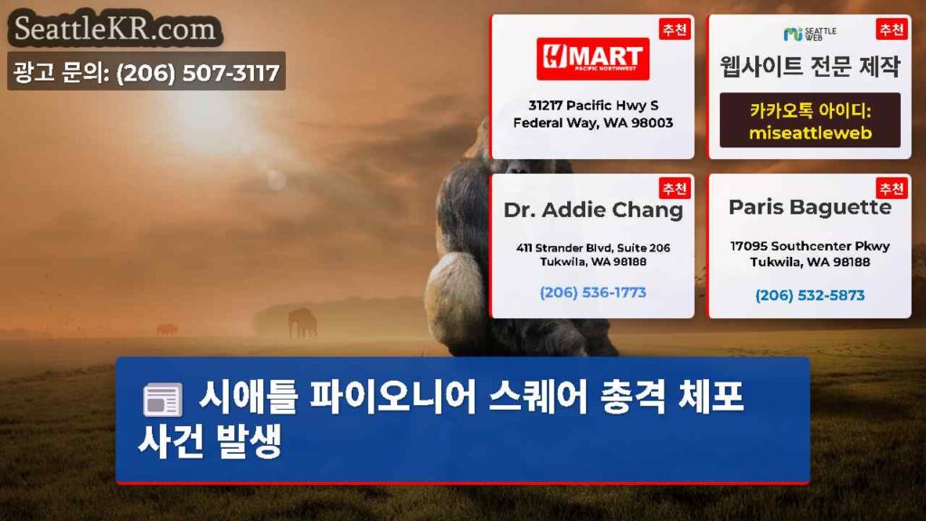 시애틀 파이오니어 스퀘어 총격 체포 사건 발생