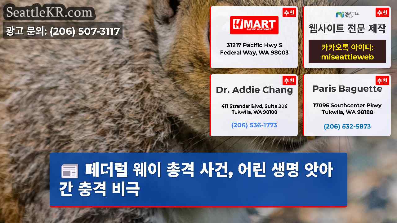 시애틀 뉴스 SeattleKR