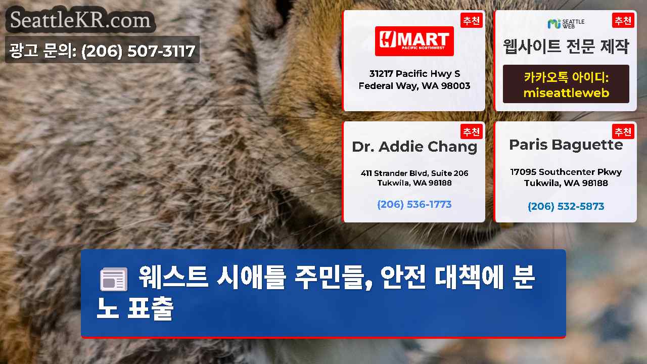 시애틀 뉴스 SeattleKR