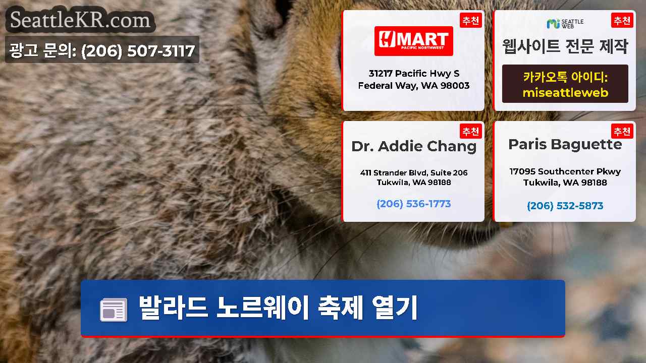 시애틀 뉴스 SeattleKR