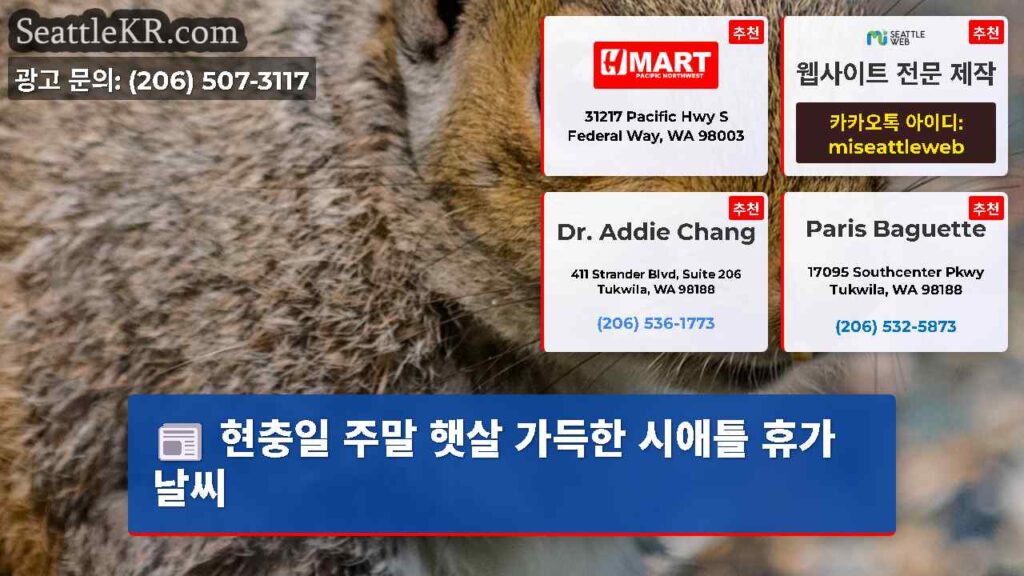 현충일 주말 햇살 가득한 시애틀 휴가 날씨