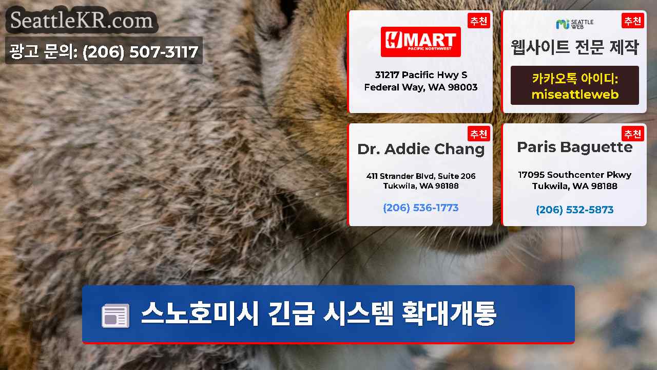 시애틀 뉴스 SeattleKR