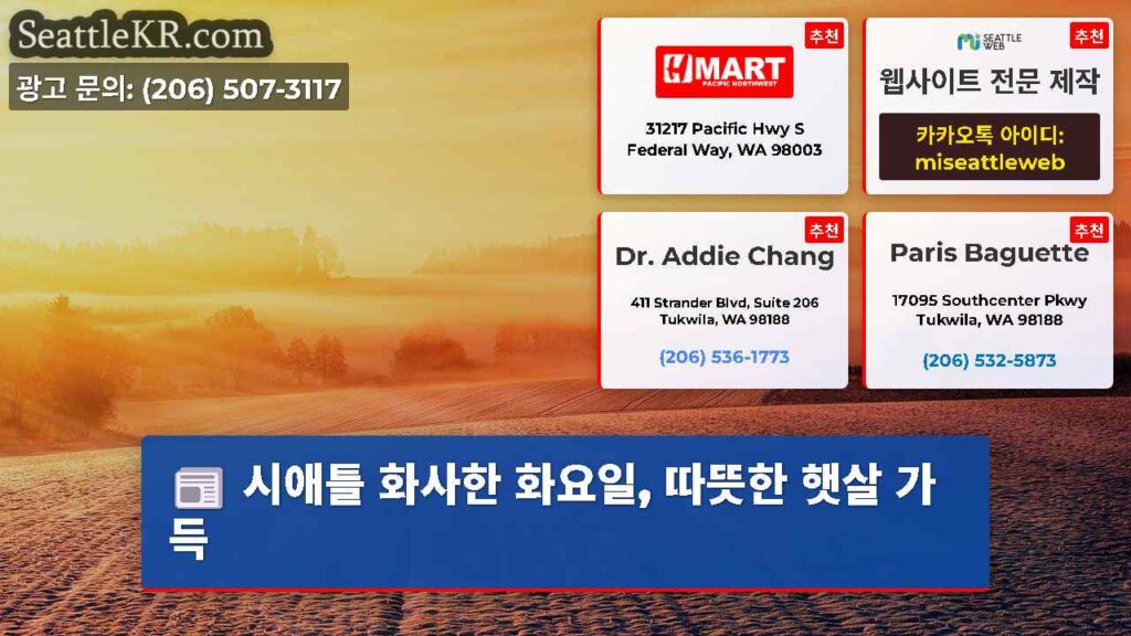 시애틀 화사한 화요일, 따뜻한 햇살 가득