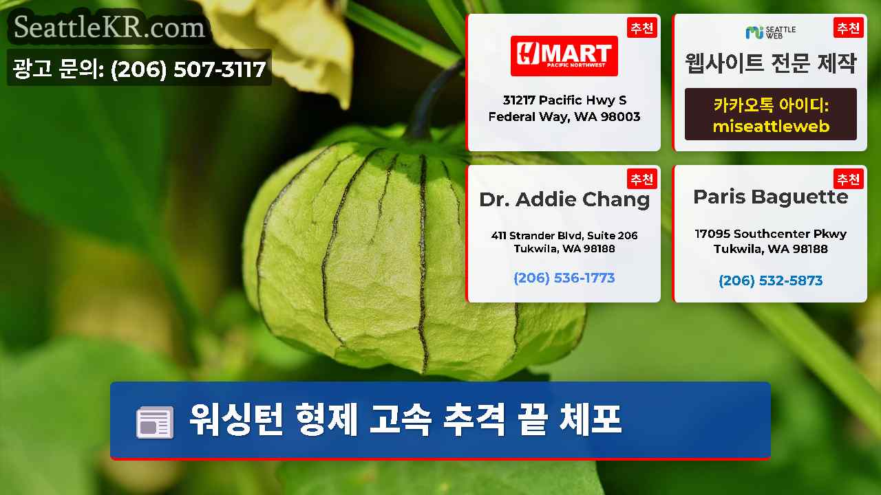 시애틀 뉴스 SeattleKR