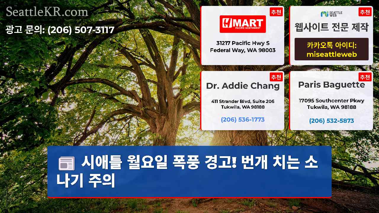 시애틀 뉴스 SeattleKR