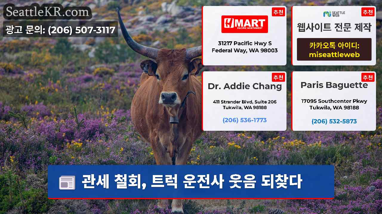 시애틀 뉴스 SeattleKR