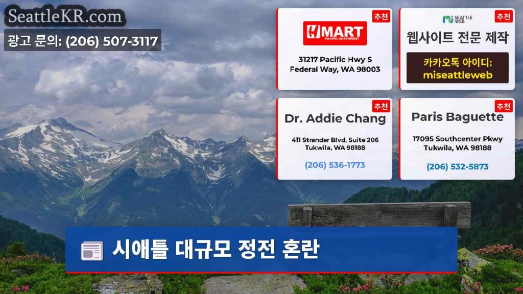 시애틀 대규모 정전 혼란