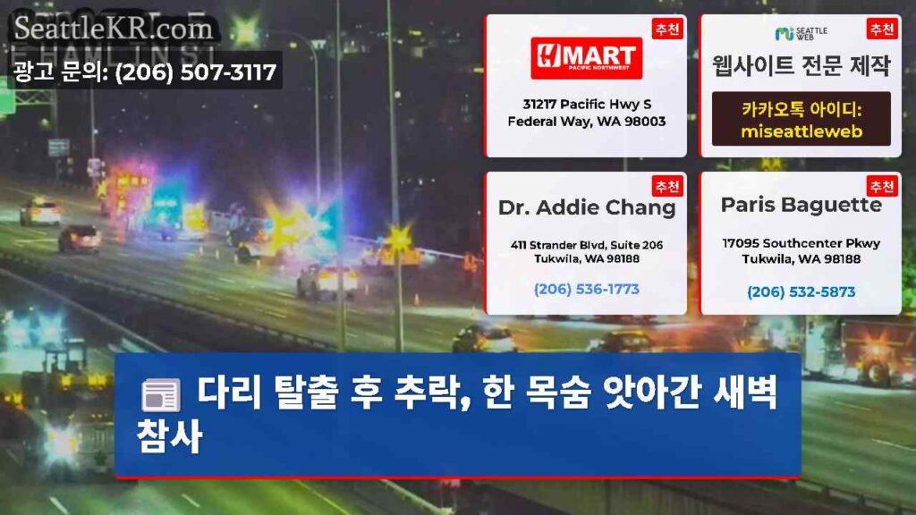 다리 탈출 후 추락, 한 목숨 앗아간 새벽 참사