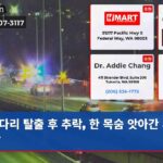 다리 탈출 후 추락 한 목숨 앗아간 새벽 참사