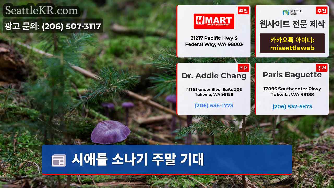 시애틀 뉴스 SeattleKR
