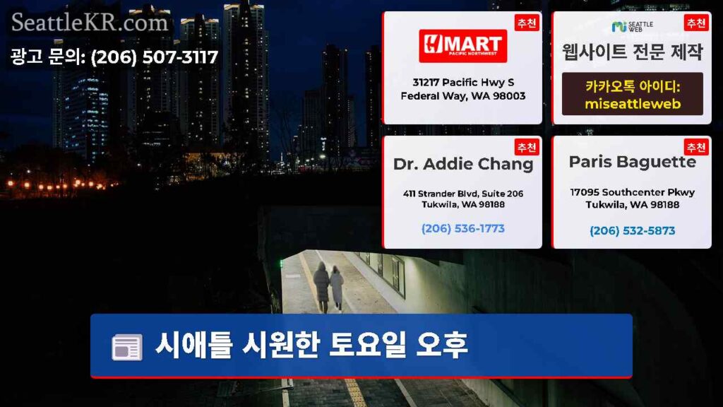 시애틀 시원한 토요일 오후