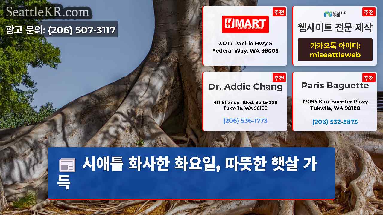 시애틀 뉴스 SeattleKR
