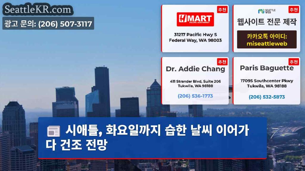 시애틀, 화요일까지 습한 날씨 이어가다 건조 전망