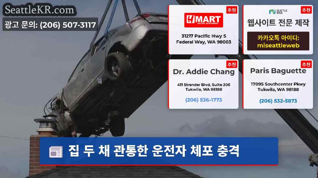 집 두 채 관통한 운전자 체포 충격