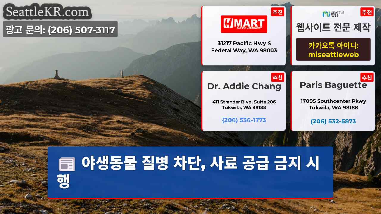 시애틀 뉴스 SeattleKR