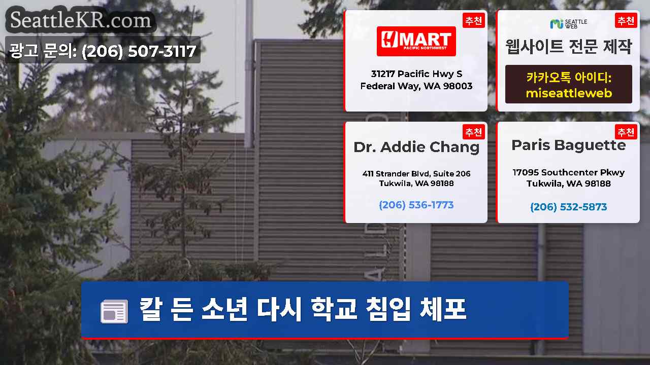 시애틀 뉴스 SeattleKR