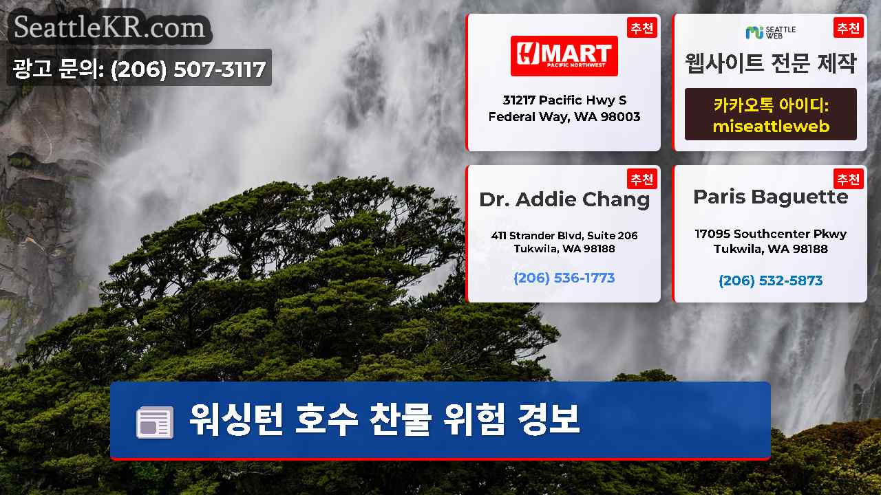 시애틀 뉴스 SeattleKR