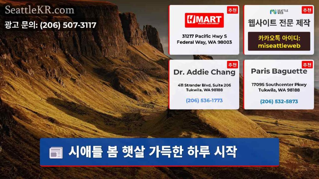 시애틀 봄 햇살 가득한 하루 시작