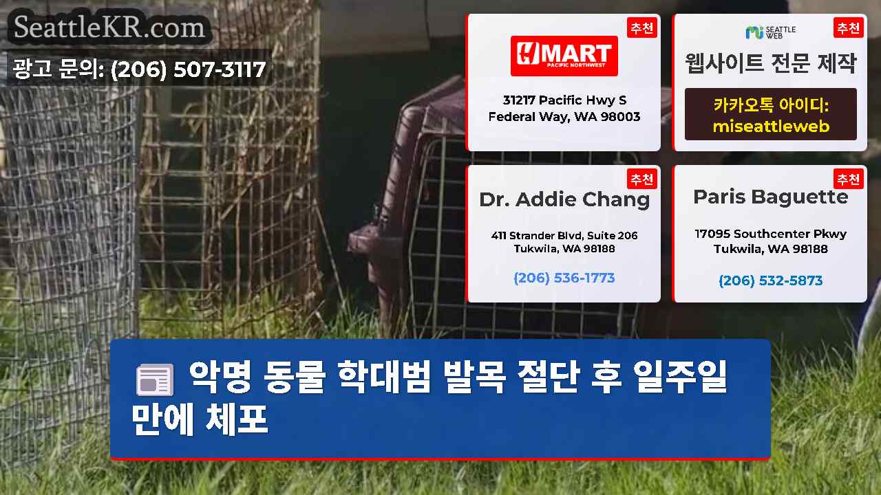 시애틀 뉴스 SeattleKR