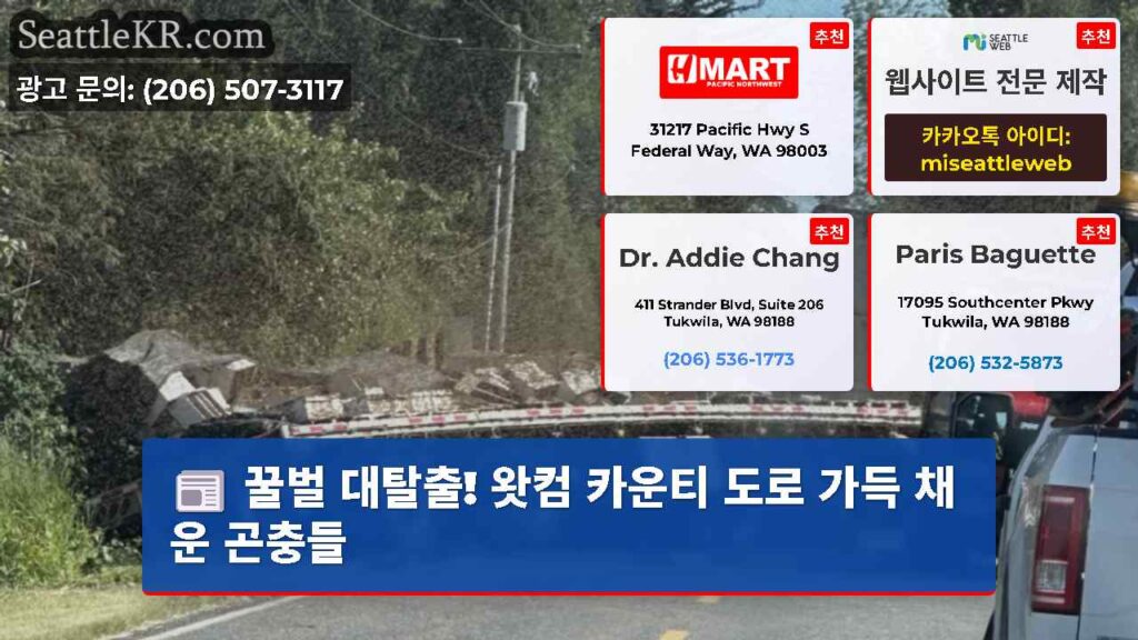꿀벌 대탈출! 왓컴 카운티 도로 가득 채운 곤충들