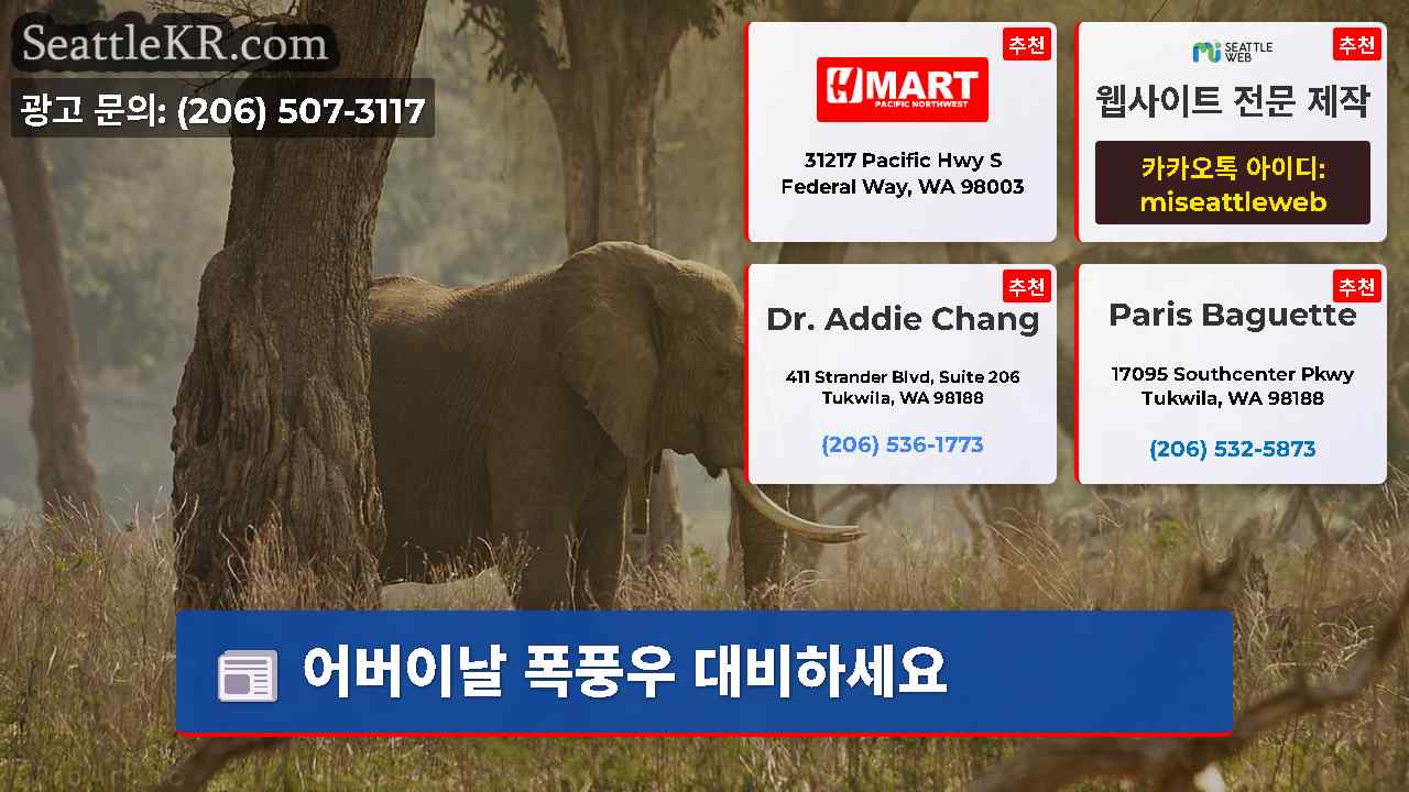 시애틀 뉴스 SeattleKR