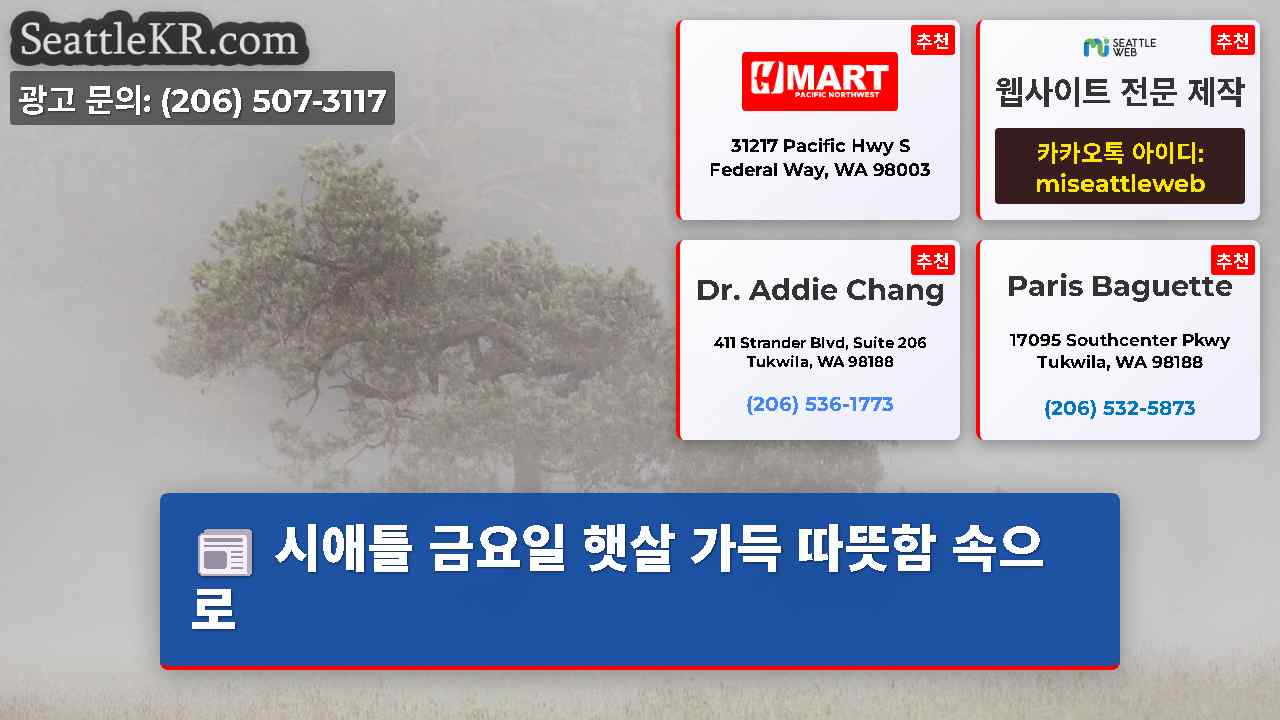 시애틀 뉴스 SeattleKR