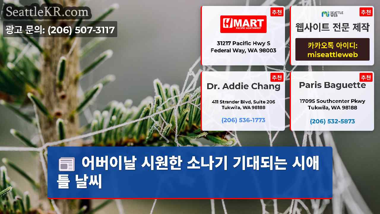 시애틀 뉴스 SeattleKR