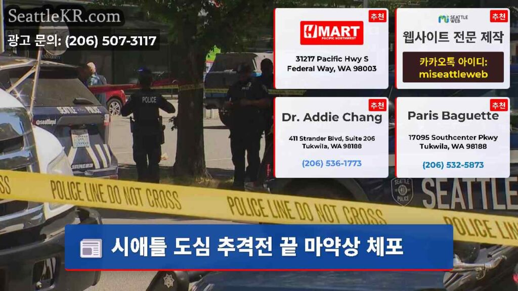 시애틀 도심 추격전 끝 마약상 체포