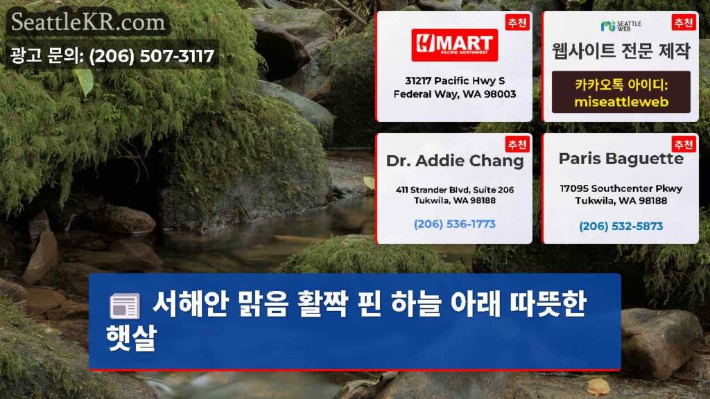 서해안 맑음 활짝 핀 하늘 아래 따뜻한 햇살