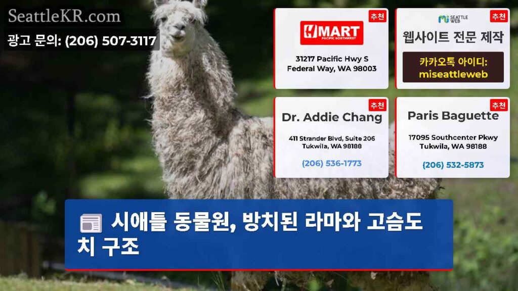 시애틀 동물원, 방치된 라마와 고슴도치 구조
