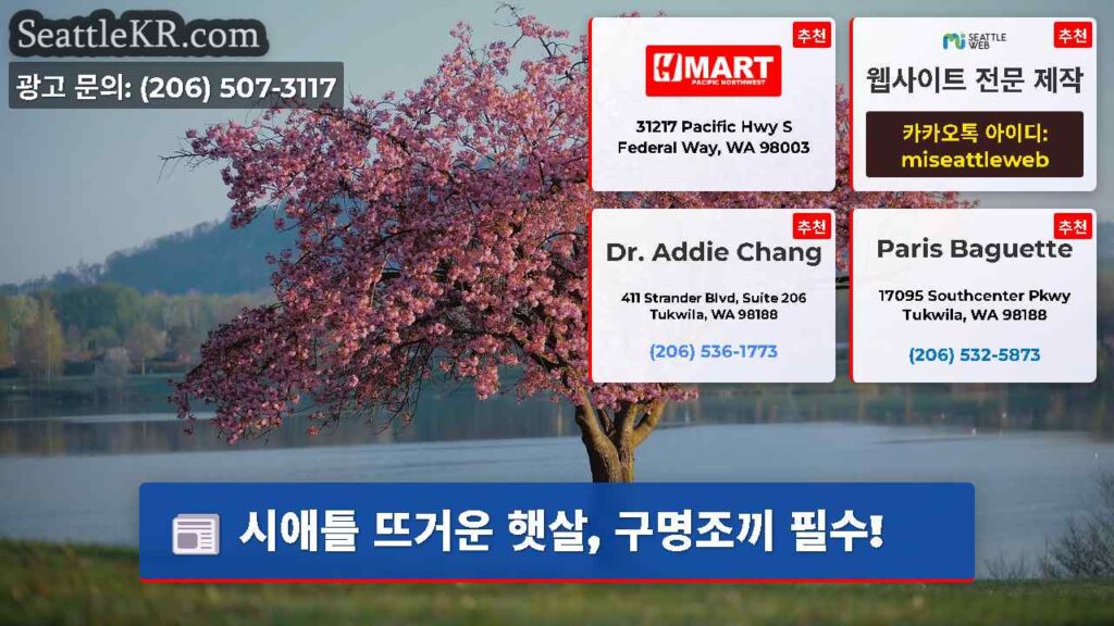 시애틀 뜨거운 햇살, 구명조끼 필수!