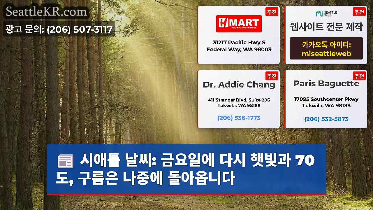 시애틀 뉴스 SeattleKR