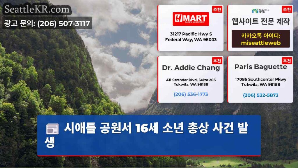 시애틀 공원서 16세 소년 총상 사건 발생