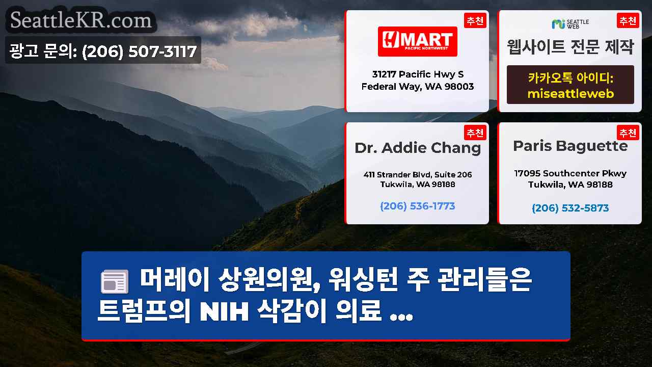 시애틀 뉴스 SeattleKR