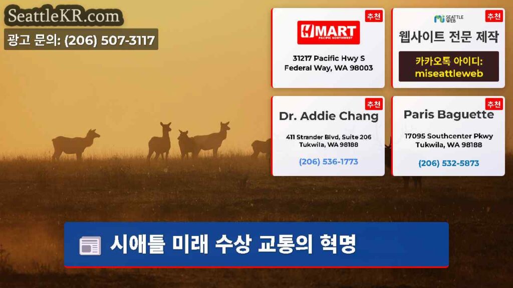 시애틀 미래 수상 교통의 혁명