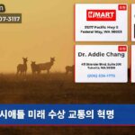 시애틀 미래 수상 교통의 혁명